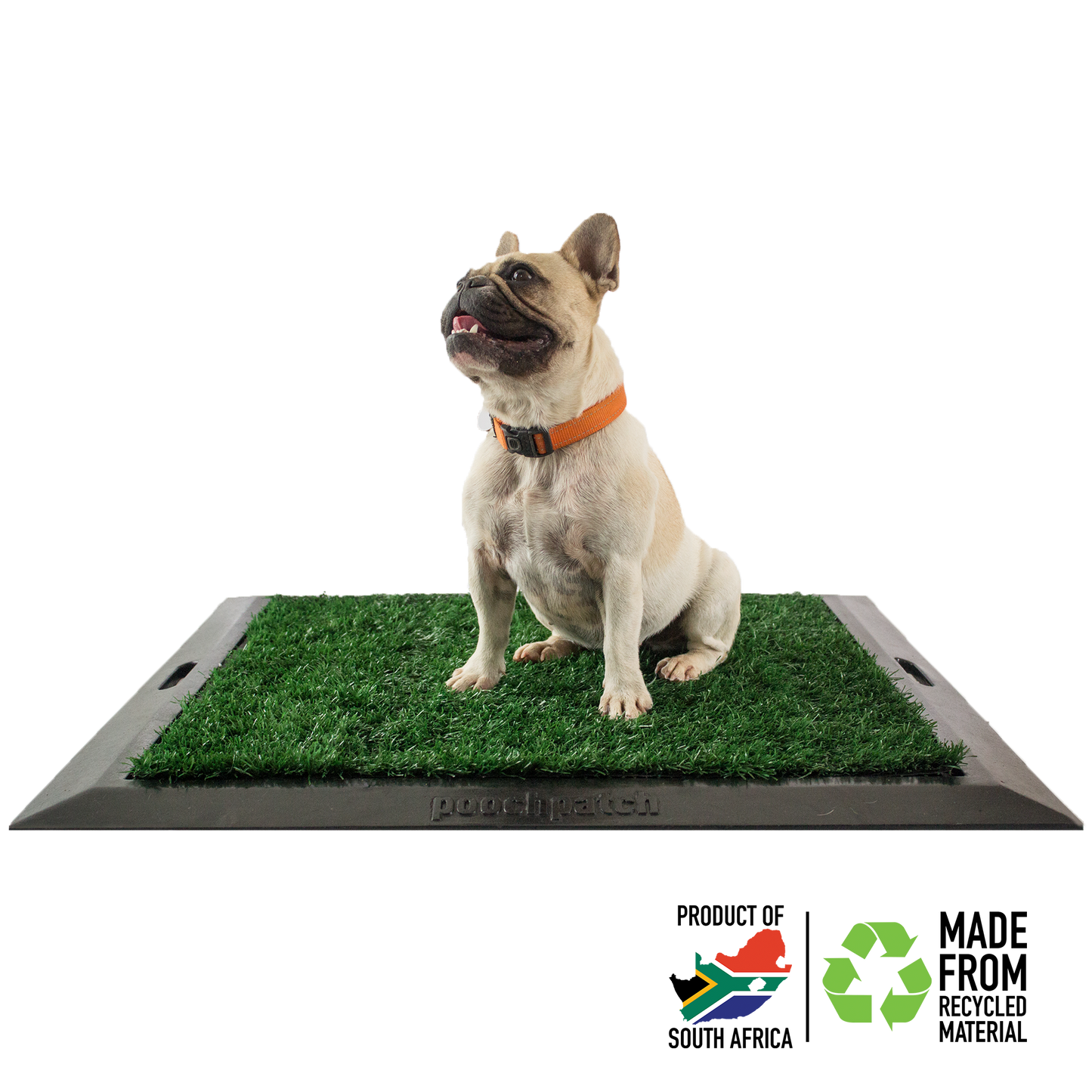 Pooch Patch Kit 2.0