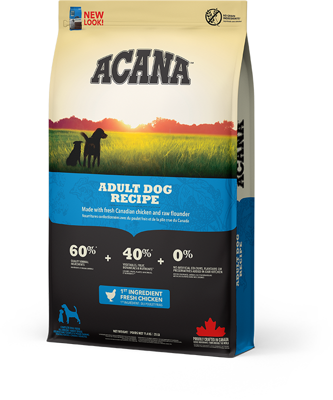 Adult Dog Recipe