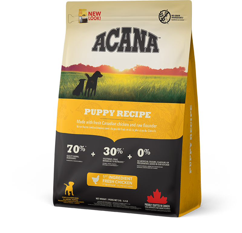 Puppy Recipe