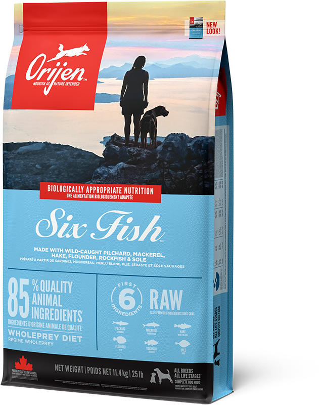 Six Fish Dog