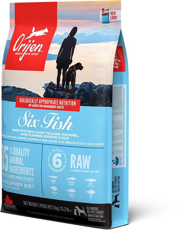 Six Fish Dog