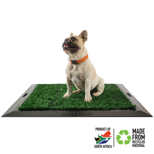 Pooch Patch Kit 2.0