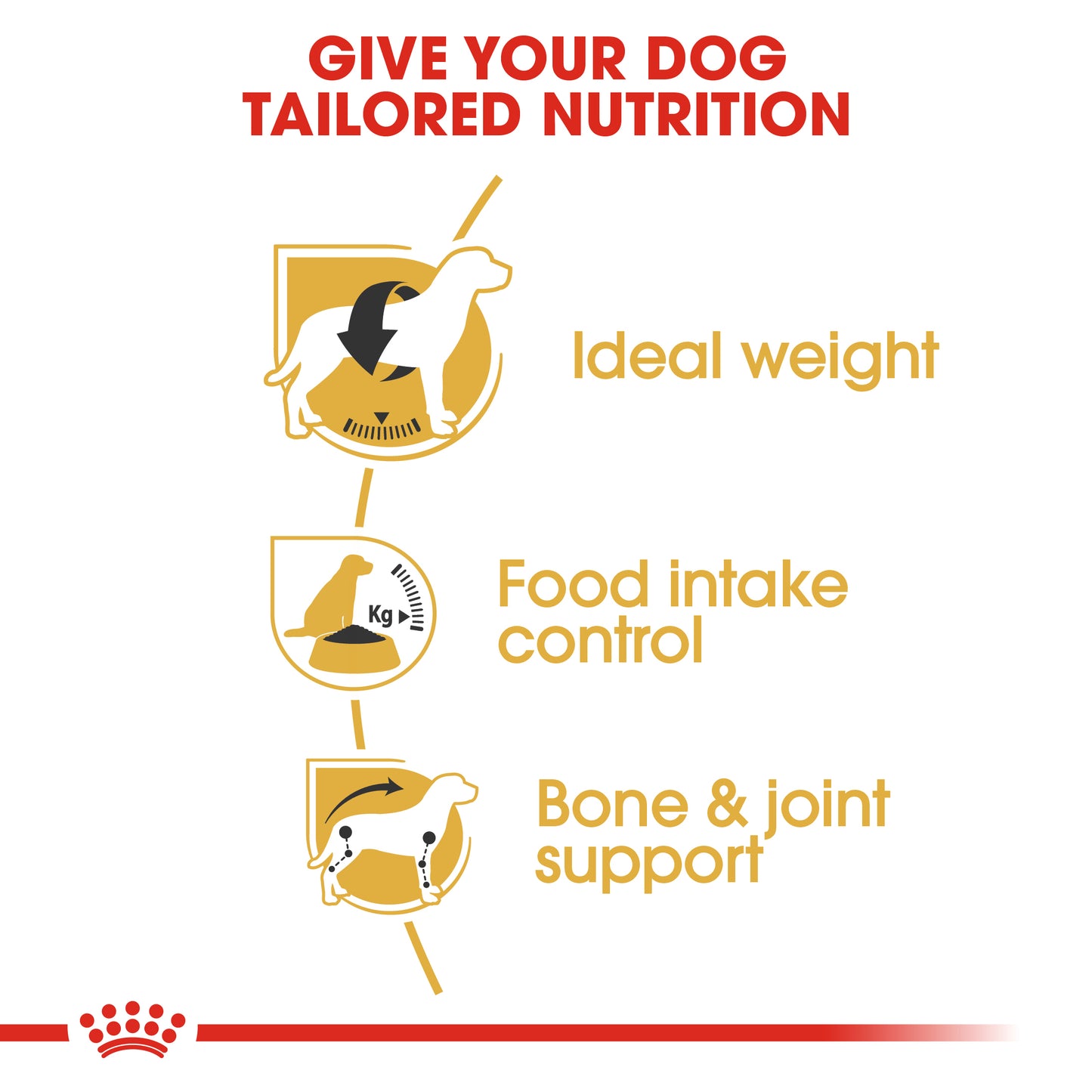 ROYAL CANIN® Beagle Adult