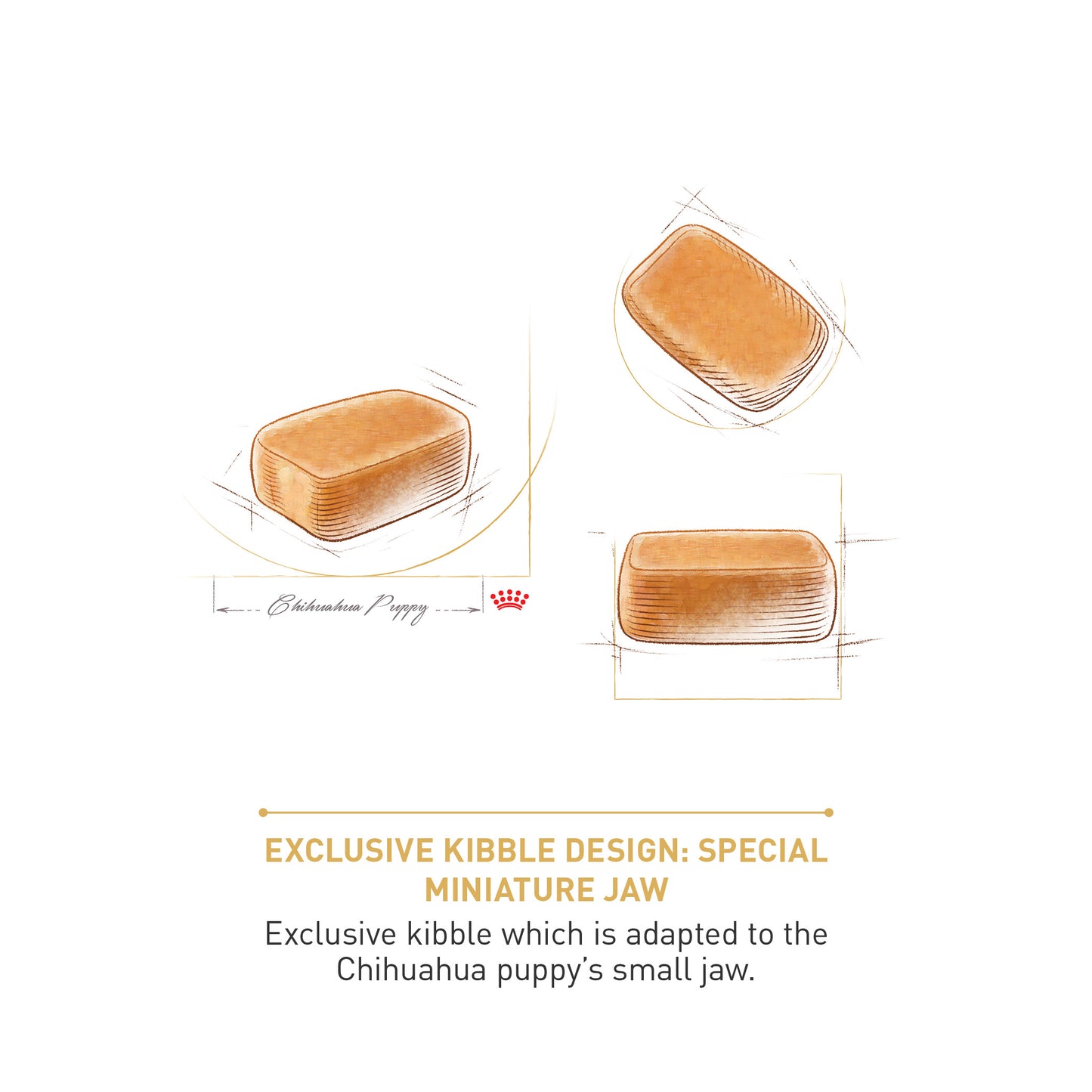 ROYAL CANIN® Chihuahua Puppy