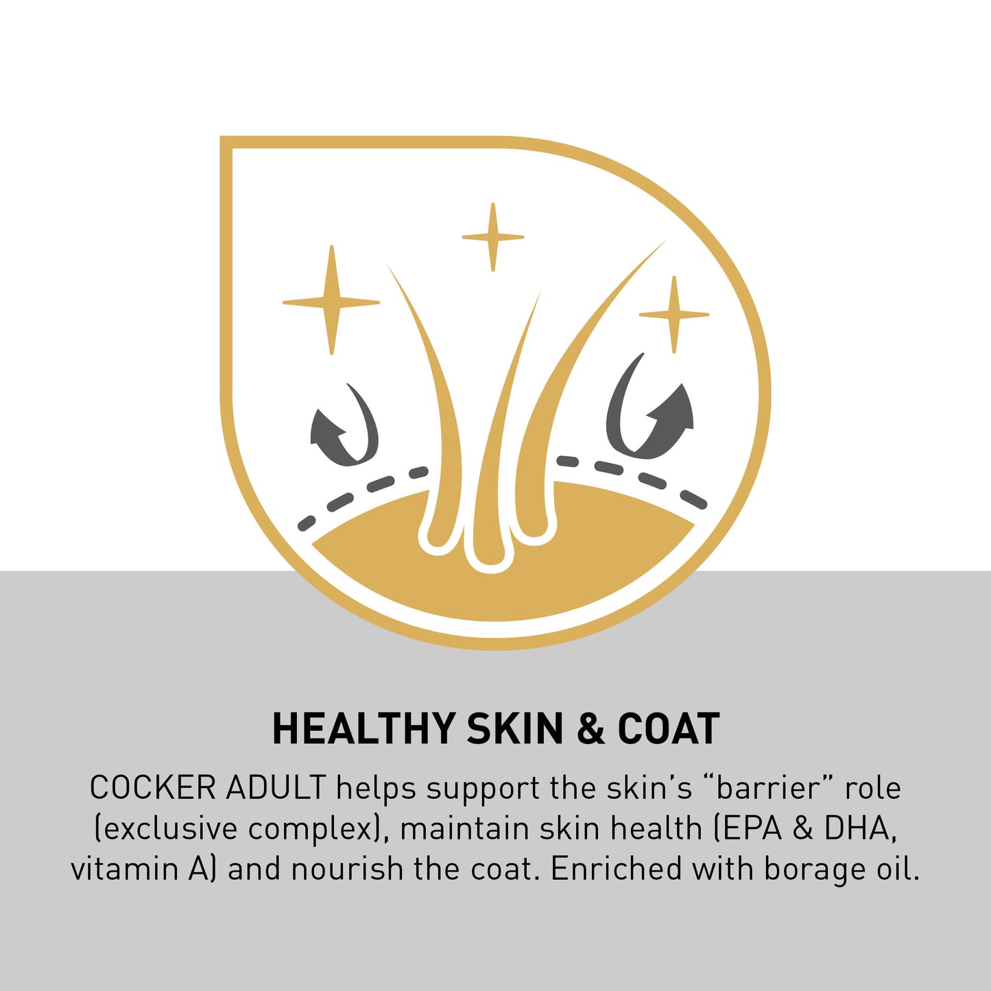 ROYAL CANIN® Cocker Adult