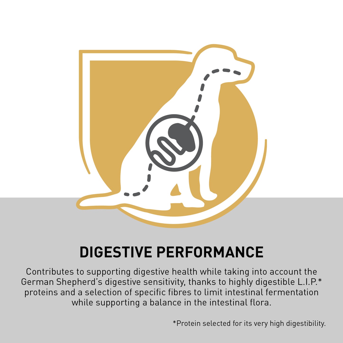 ROYAL CANIN® German Shepherd Adult