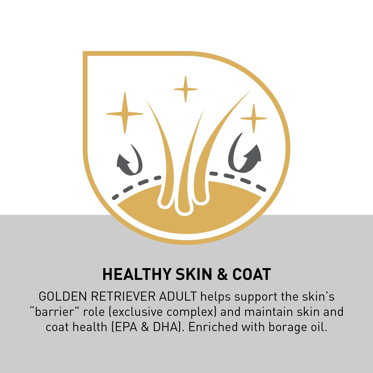 ROYAL CANIN® Golden Retriever Adult