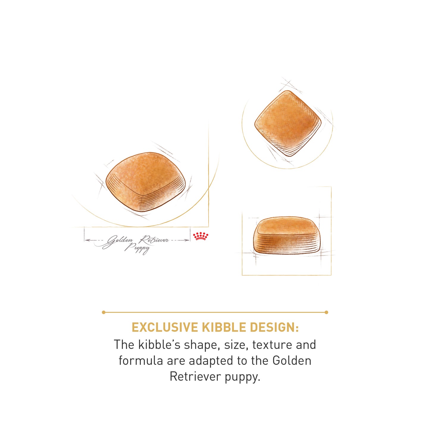 ROYAL CANIN® Golden Retriever Puppy