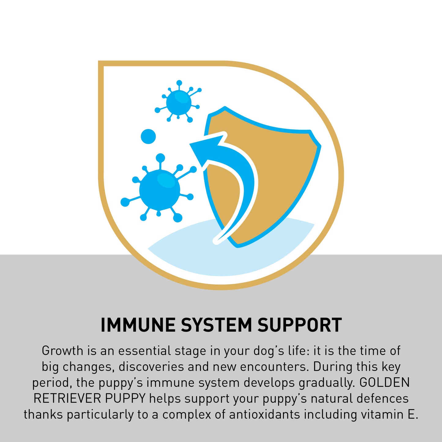 ROYAL CANIN® Golden Retriever Puppy