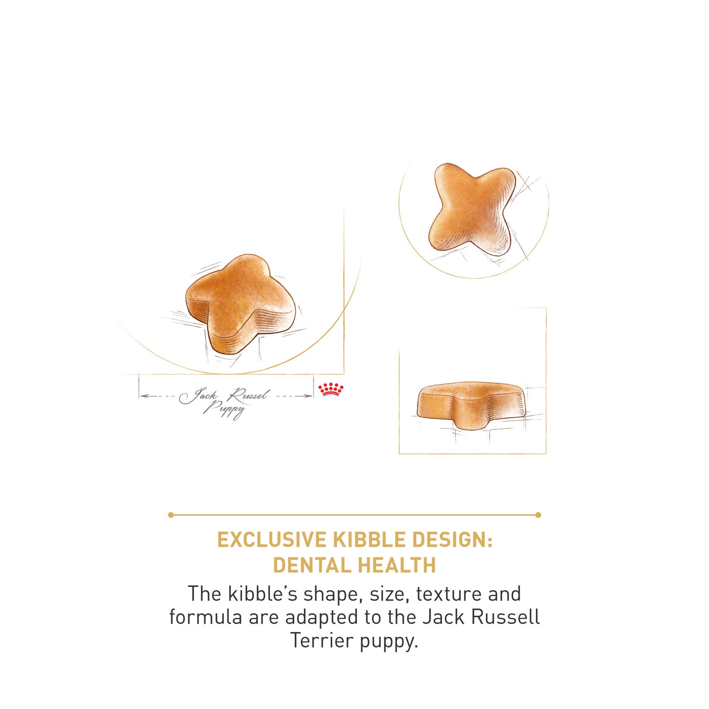 ROYAL CANIN® Jack Russell Puppy