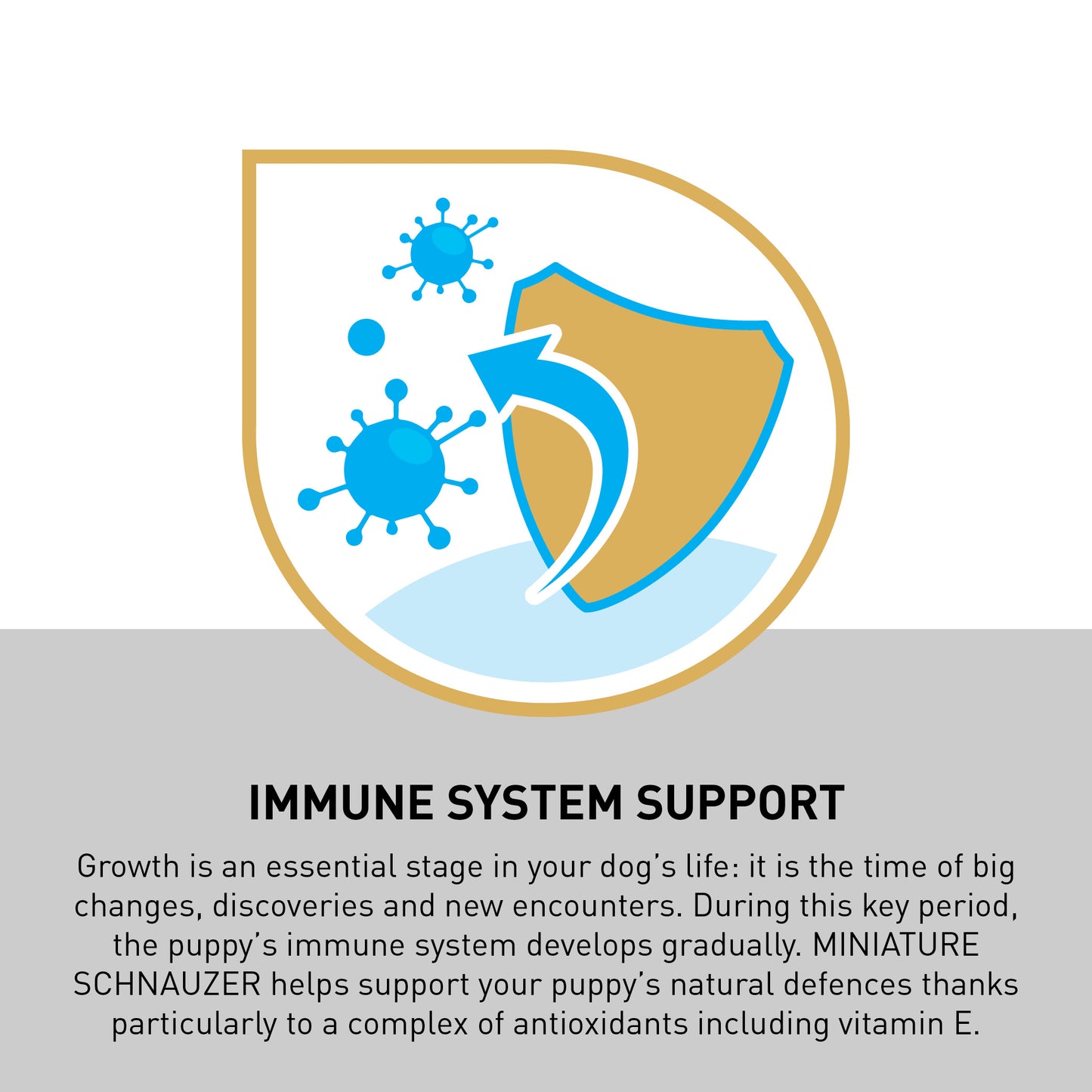 ROYAL CANIN® Schnauzer Puppy