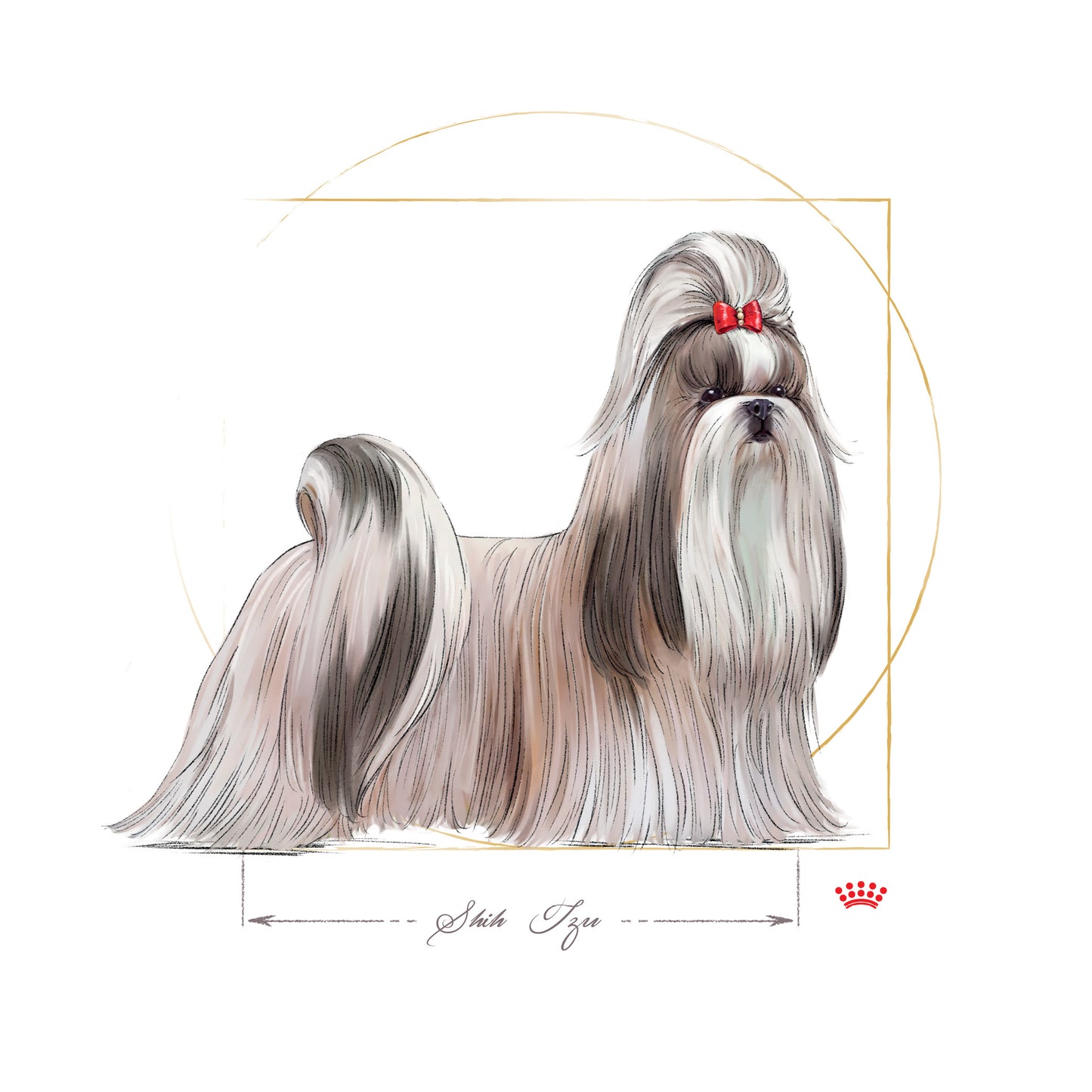 ROYAL CANIN® Shih Tzu Adult