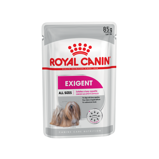 ROYAL CANIN® Exigent Wet