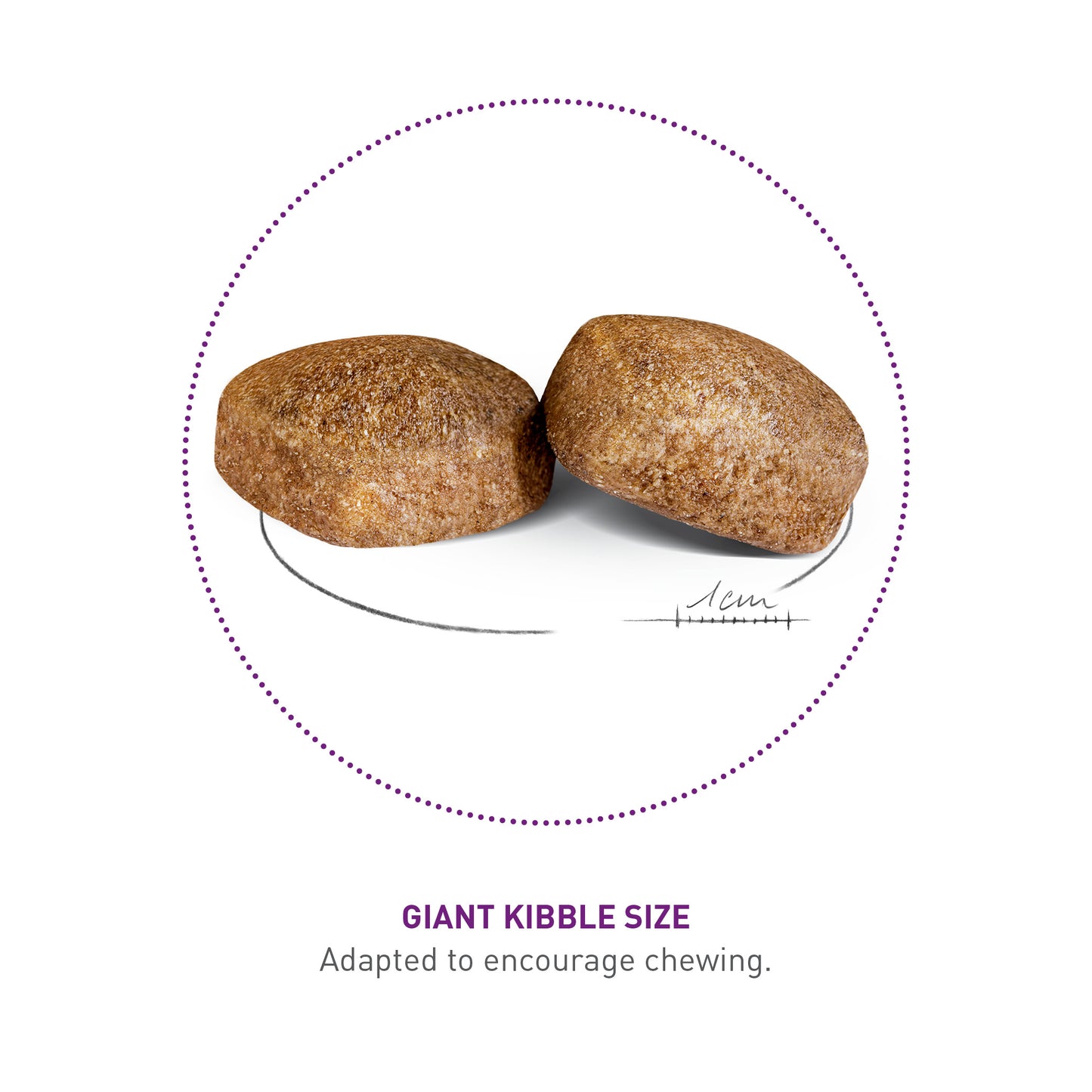 ROYAL CANIN® Giant Adult