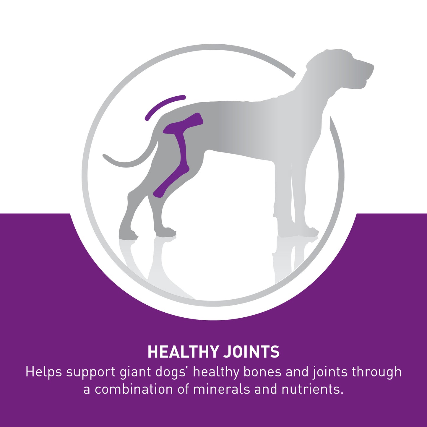 ROYAL CANIN® Giant Adult
