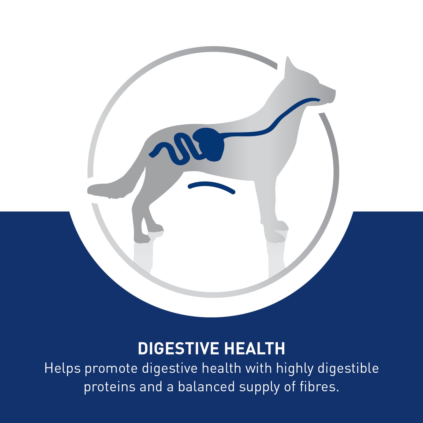 ROYAL CANIN® Maxi Adult Ageing 5+