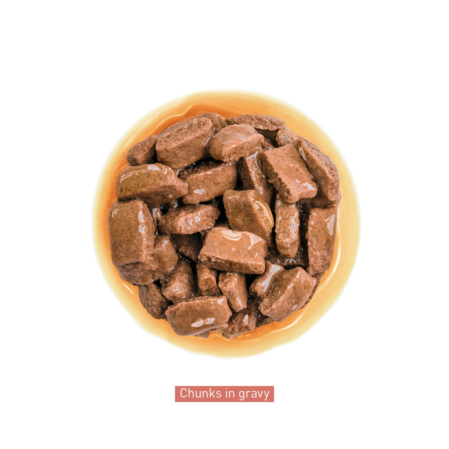 ROYAL CANIN® Maxi Ageing Wet