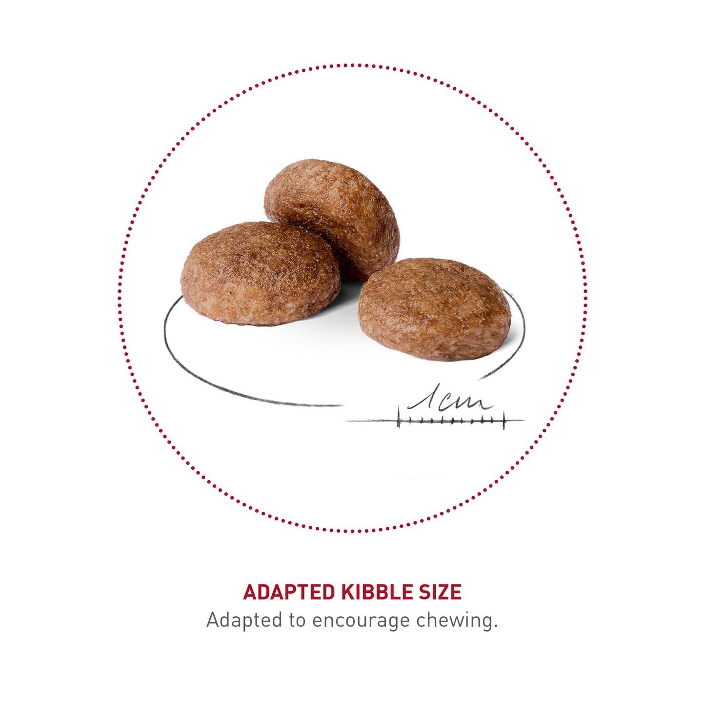 ROYAL CANIN® Medium Adult Ageing 7+