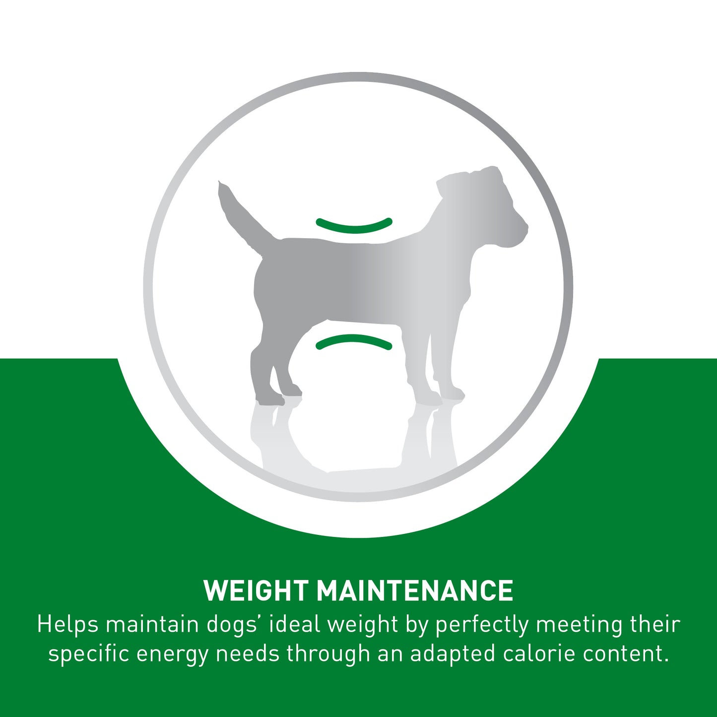 ROYAL CANIN® Mini Adult