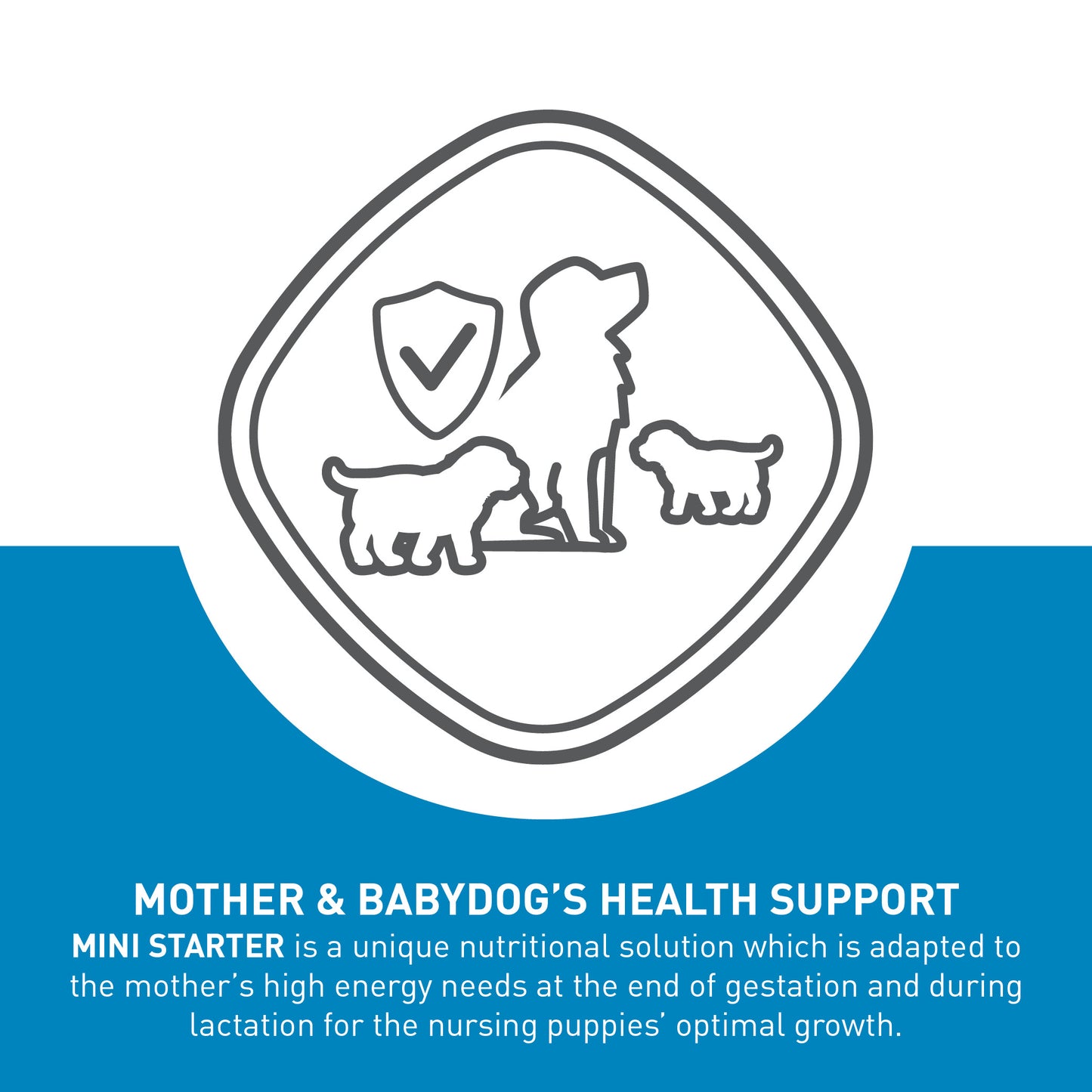 ROYAL CANIN® Mini Starter Mother & Babydog