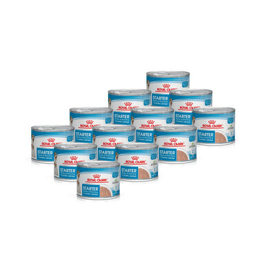 ROYAL CANIN® Starter Mousse Can