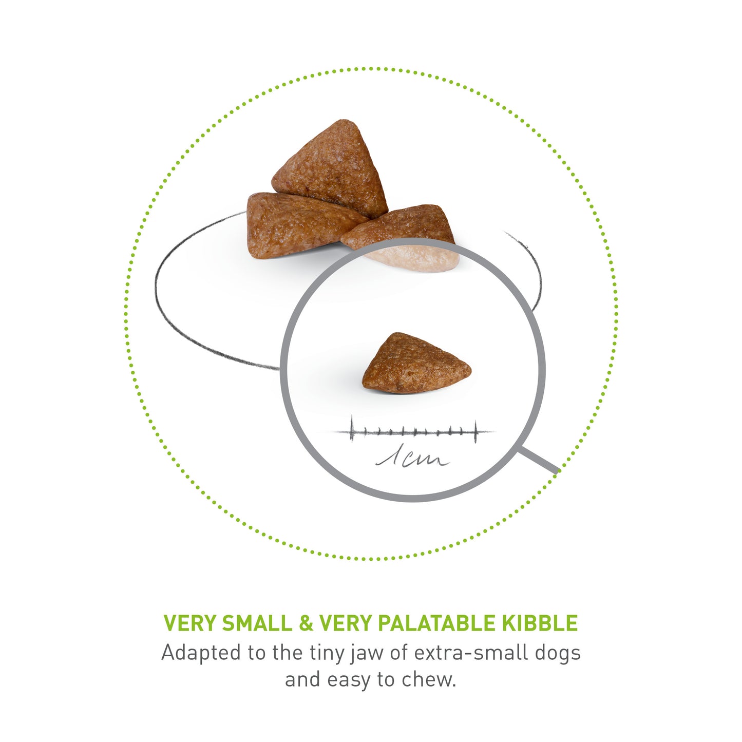 ROYAL CANIN® X-Small Ageing 12+